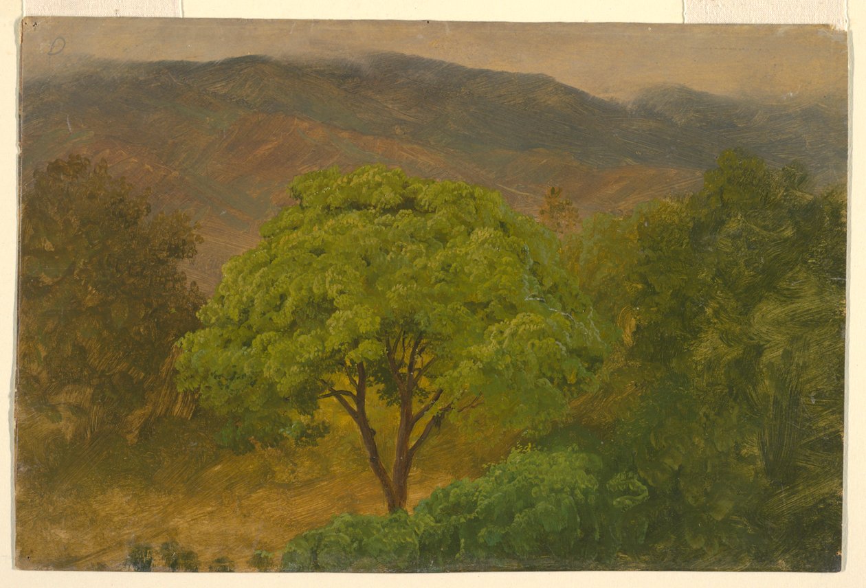  av Frederic Edwin Church