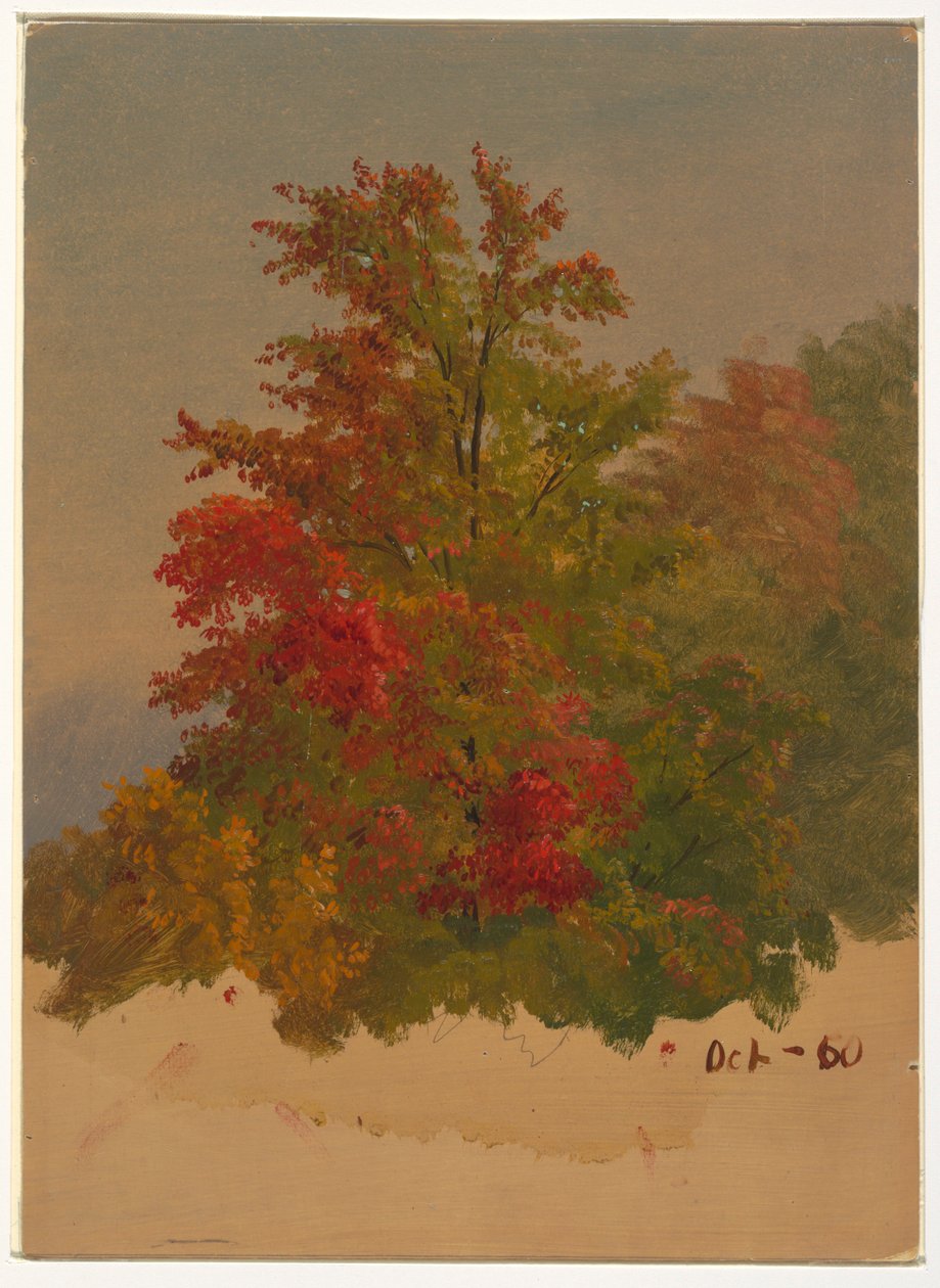  av Frederic Edwin Church