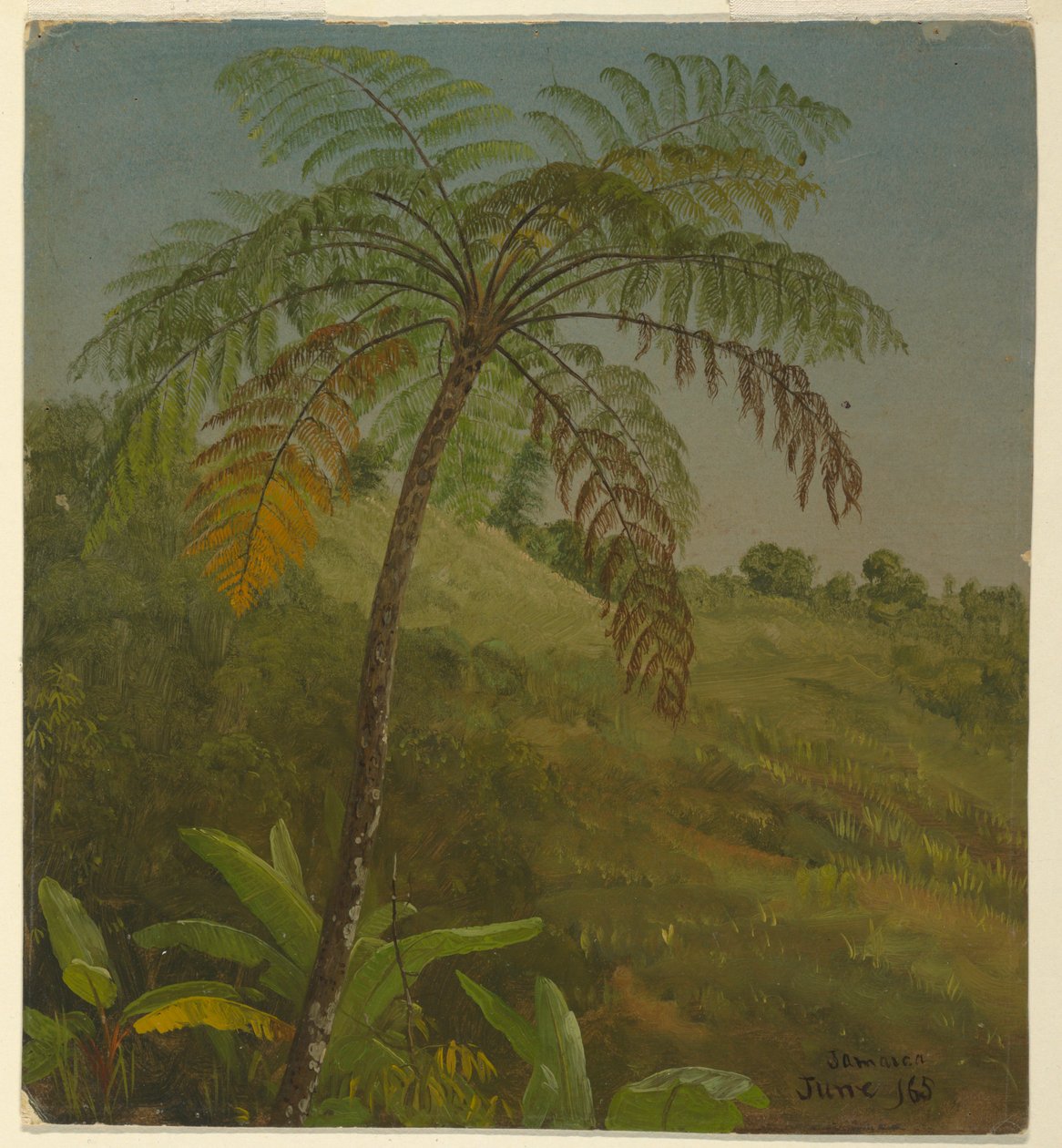  av Frederic Edwin Church