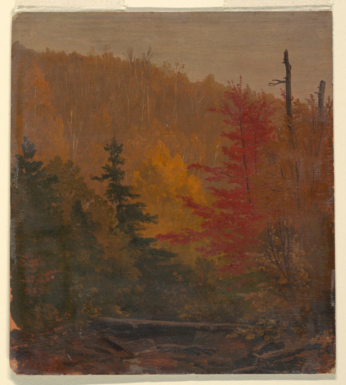  av Frederic Edwin Church