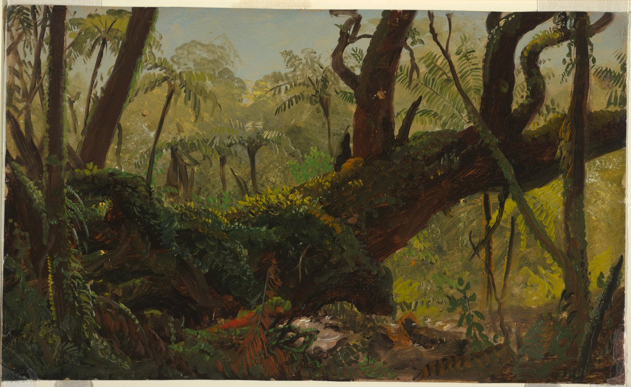  av Frederic Edwin Church