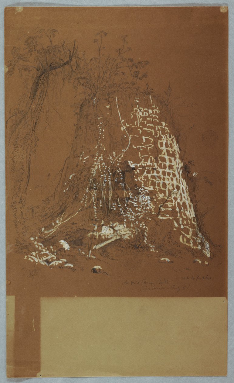 Tegning, ødelagt gammel vindmølle, Jamaica, juli 1865 av Frederic Edwin Church