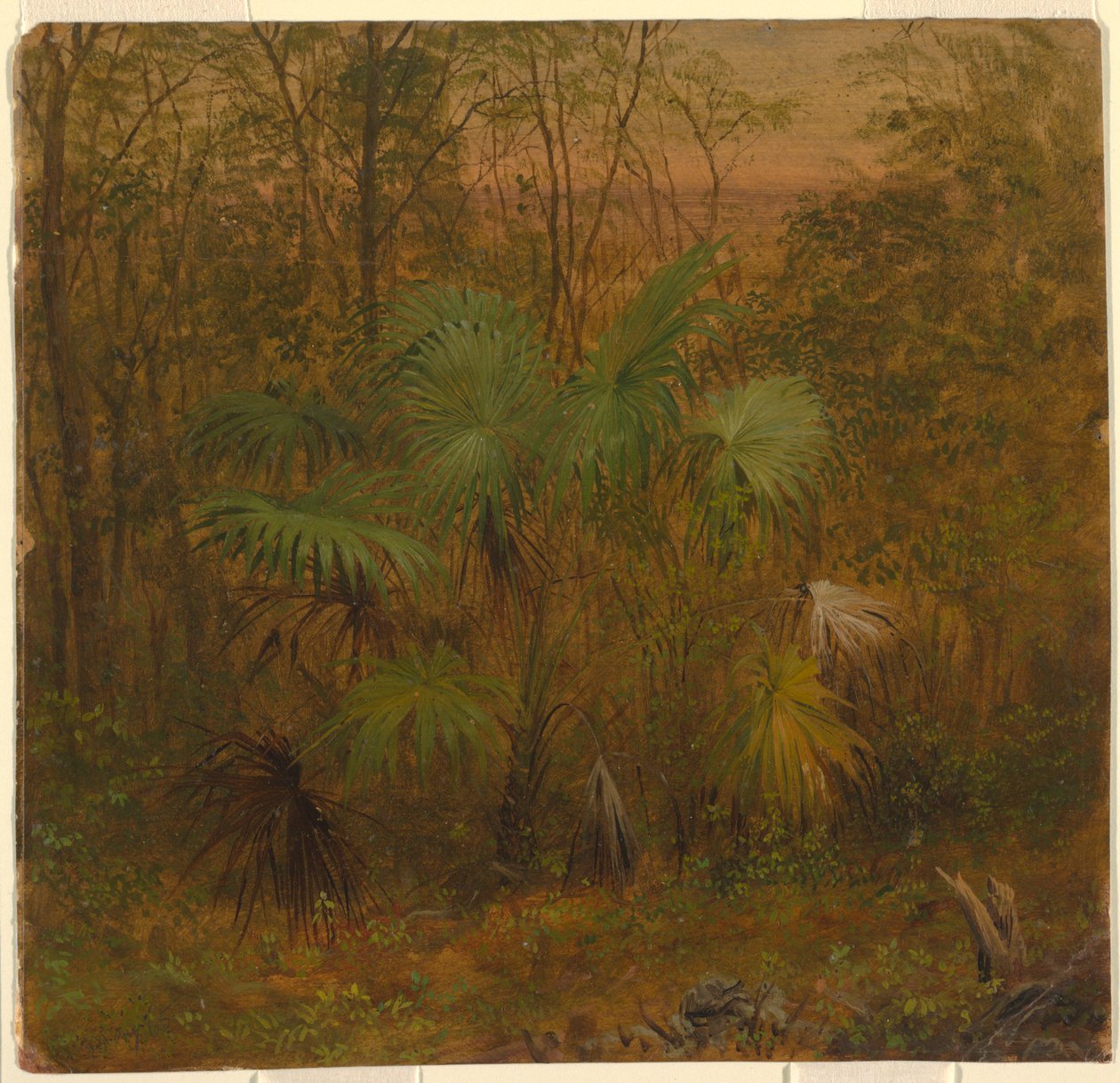  av Frederic Edwin Church