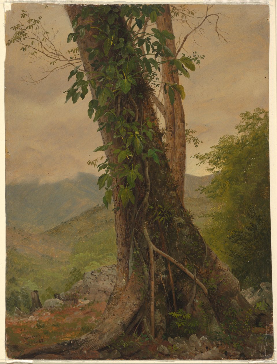  av Frederic Edwin Church