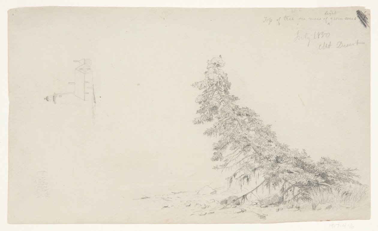 Eviggrønt tre nær kysten med en detalj av fyret og et hus, Mount Desert, Maine av Frederic Edwin Church