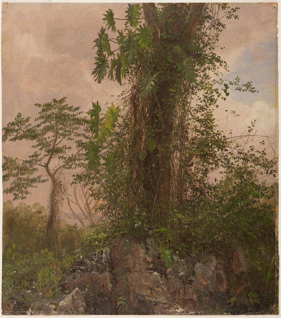 Fikentre og vill filodendron av Frederic Edwin Church