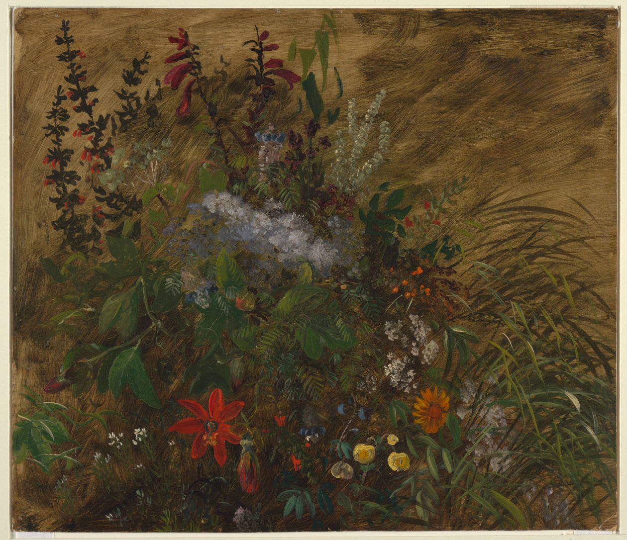 Blomster på Jamaica av Frederic Edwin Church
