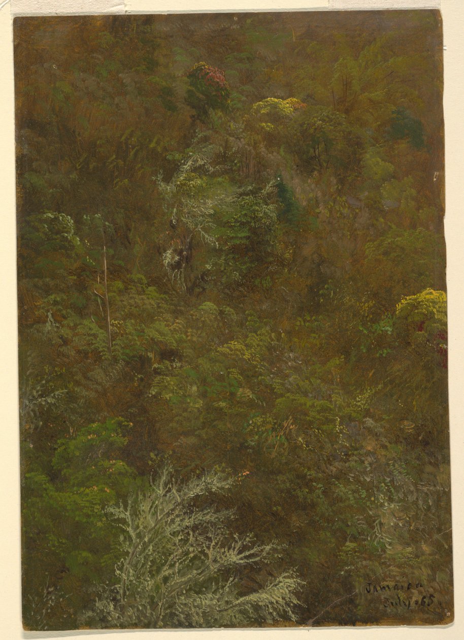 Åsside med trær, Jamaica av Frederic Edwin Church