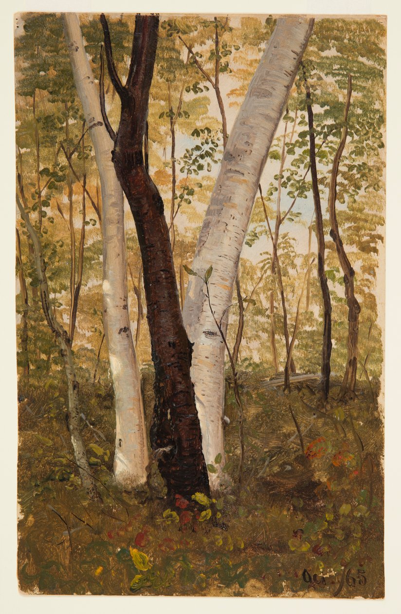 In the Woods, Hudson, New York av Frederic Edwin Church
