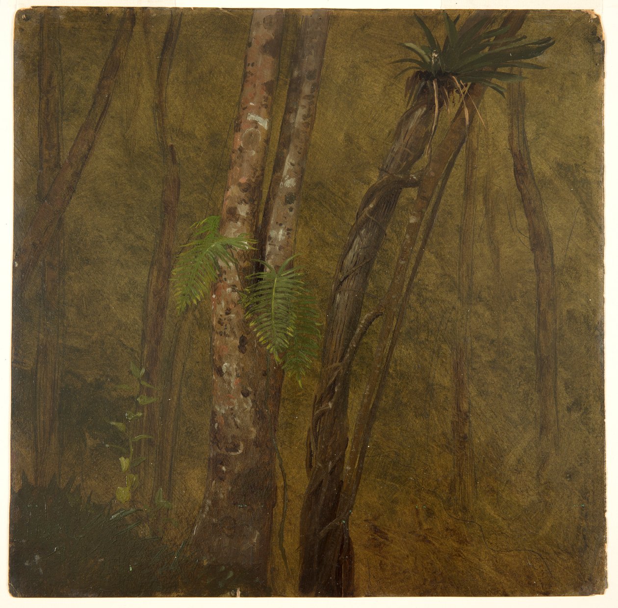 Landskap på Jamaica av Frederic Edwin Church