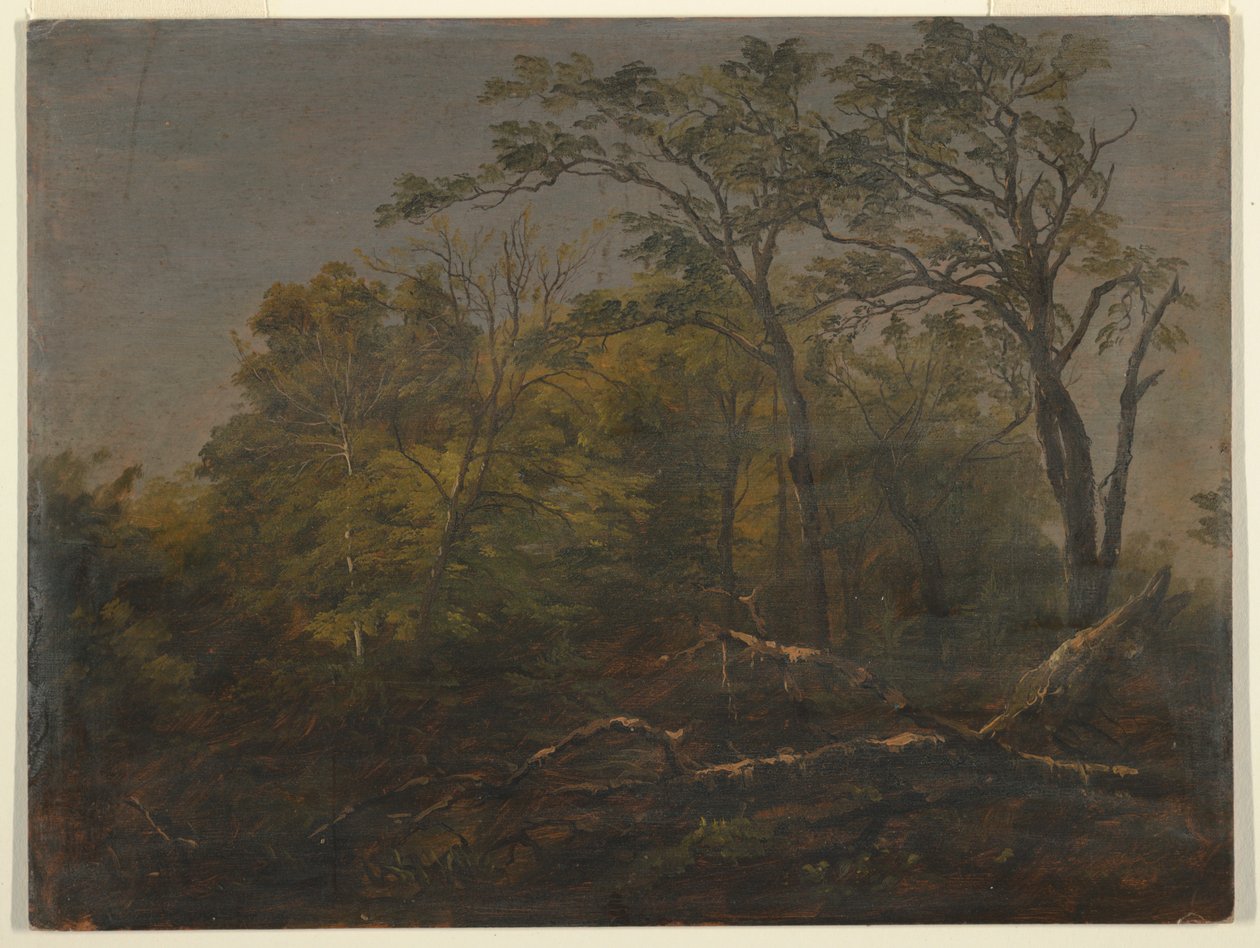 Maine Woods av Frederic Edwin Church