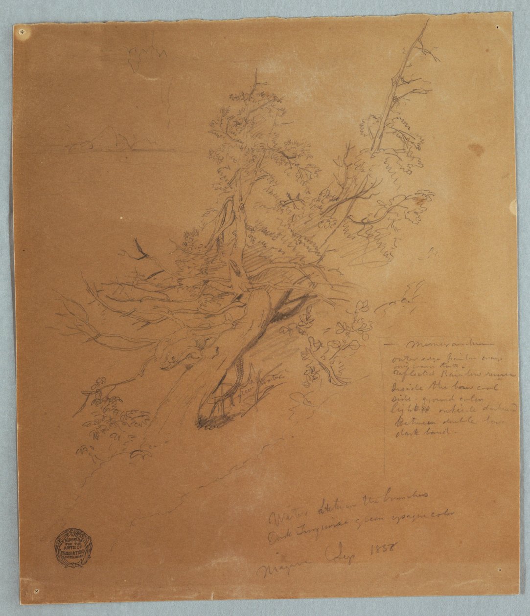 Rugged Tree ved Canadian Bank under Niagara Falls av Frederic Edwin Church