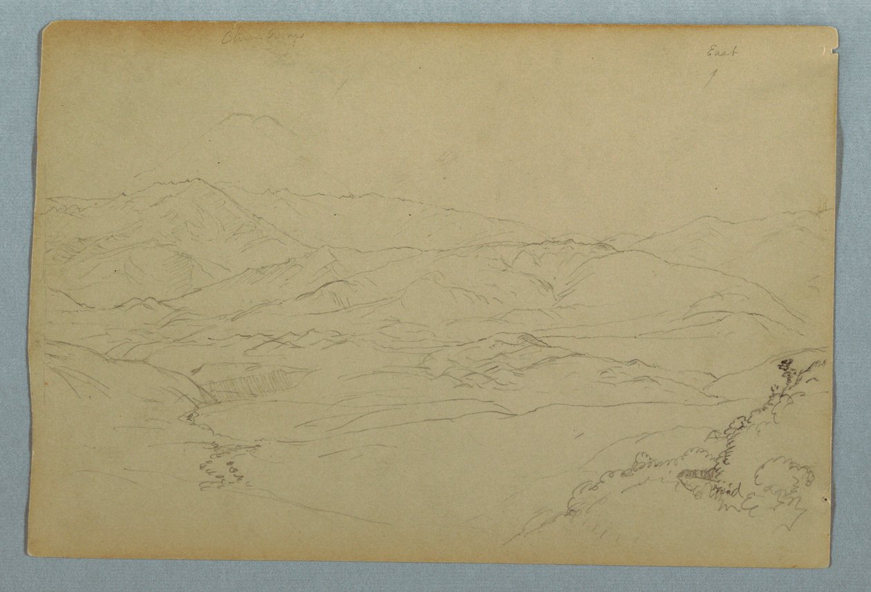 Skisser av planter og av en del av balustraden som grenser til terrassen på vertshuset i Guaranda, Ecuador av Frederic Edwin Church