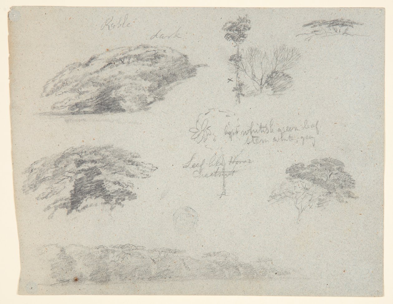Trær, tretopper og en skogkledd bank, Saddleback, Maine av Frederic Edwin Church
