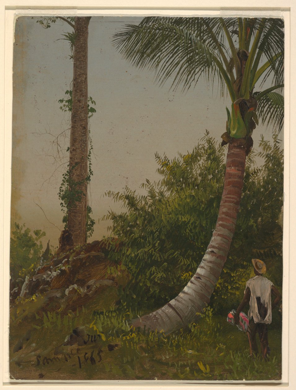 Trær i Jamaica, Vestindia av Frederic Edwin Church