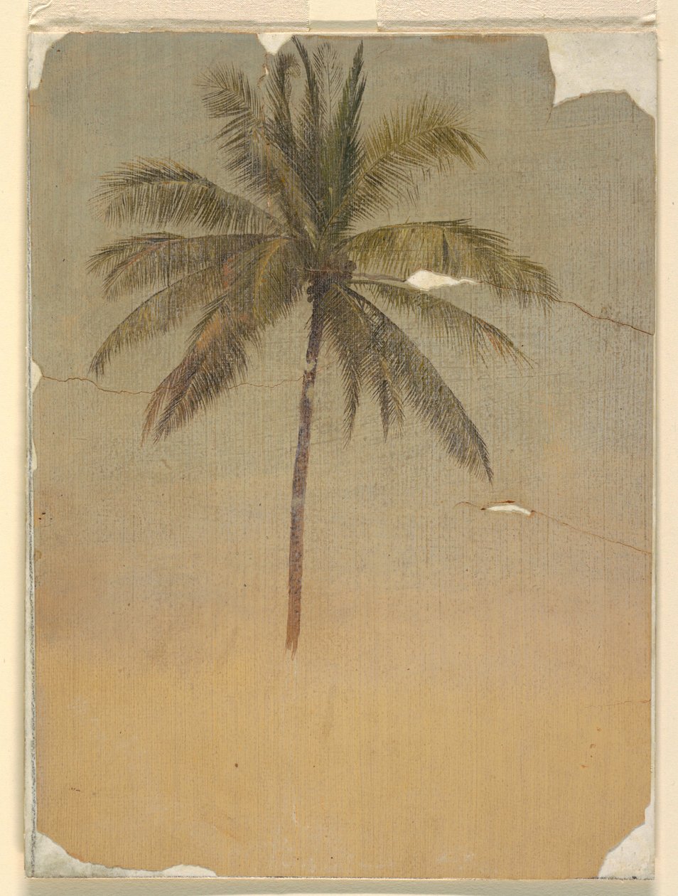 Stamme og toppen av et palmetre av Frederic Edwin Church