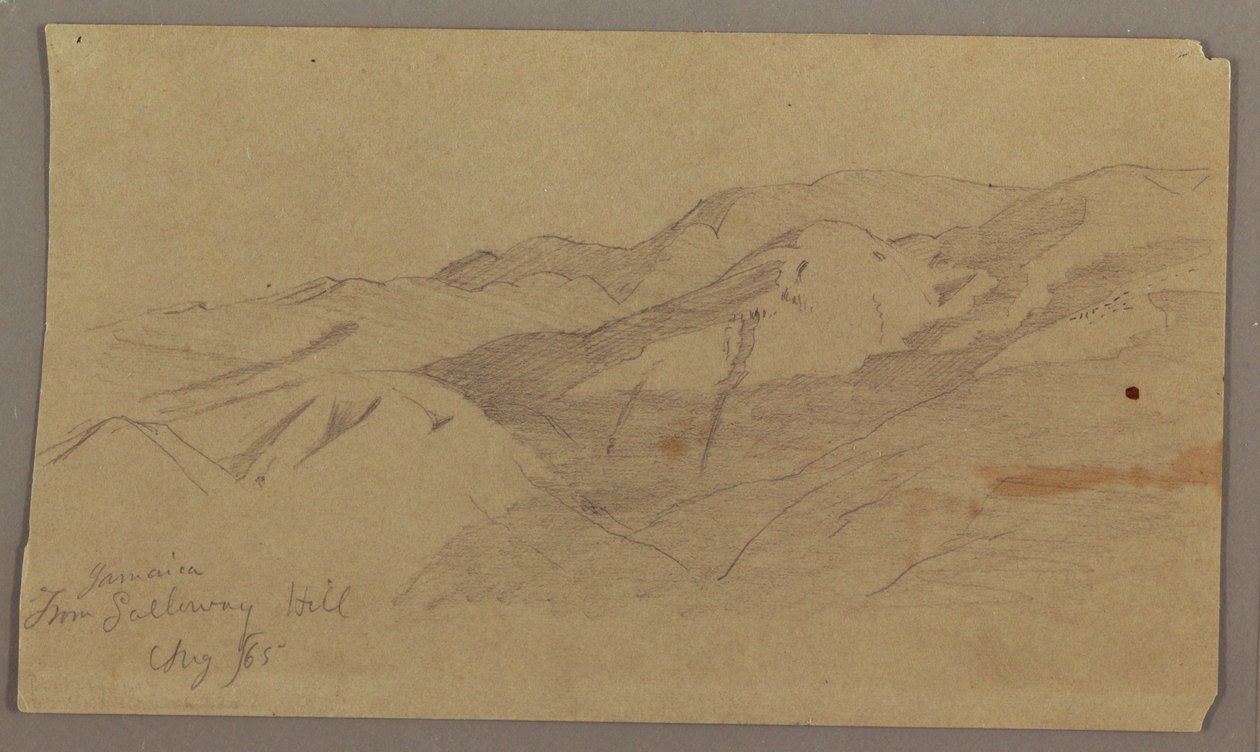 Utsikt fra Galleway Hill, Jamaica av Frederic Edwin Church