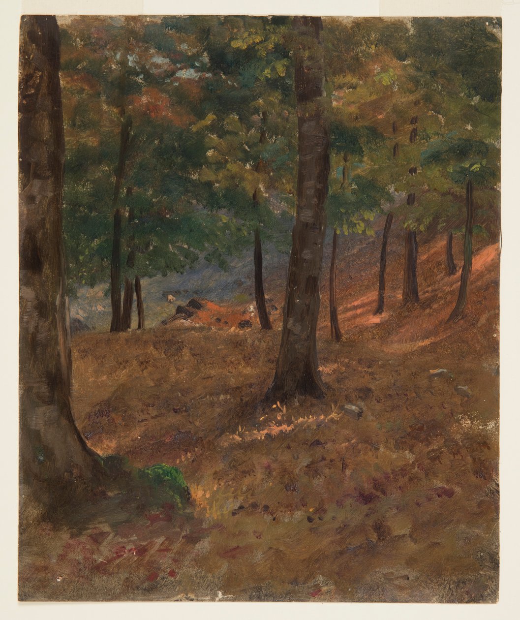 Woodland Scene av Frederic Edwin Church
