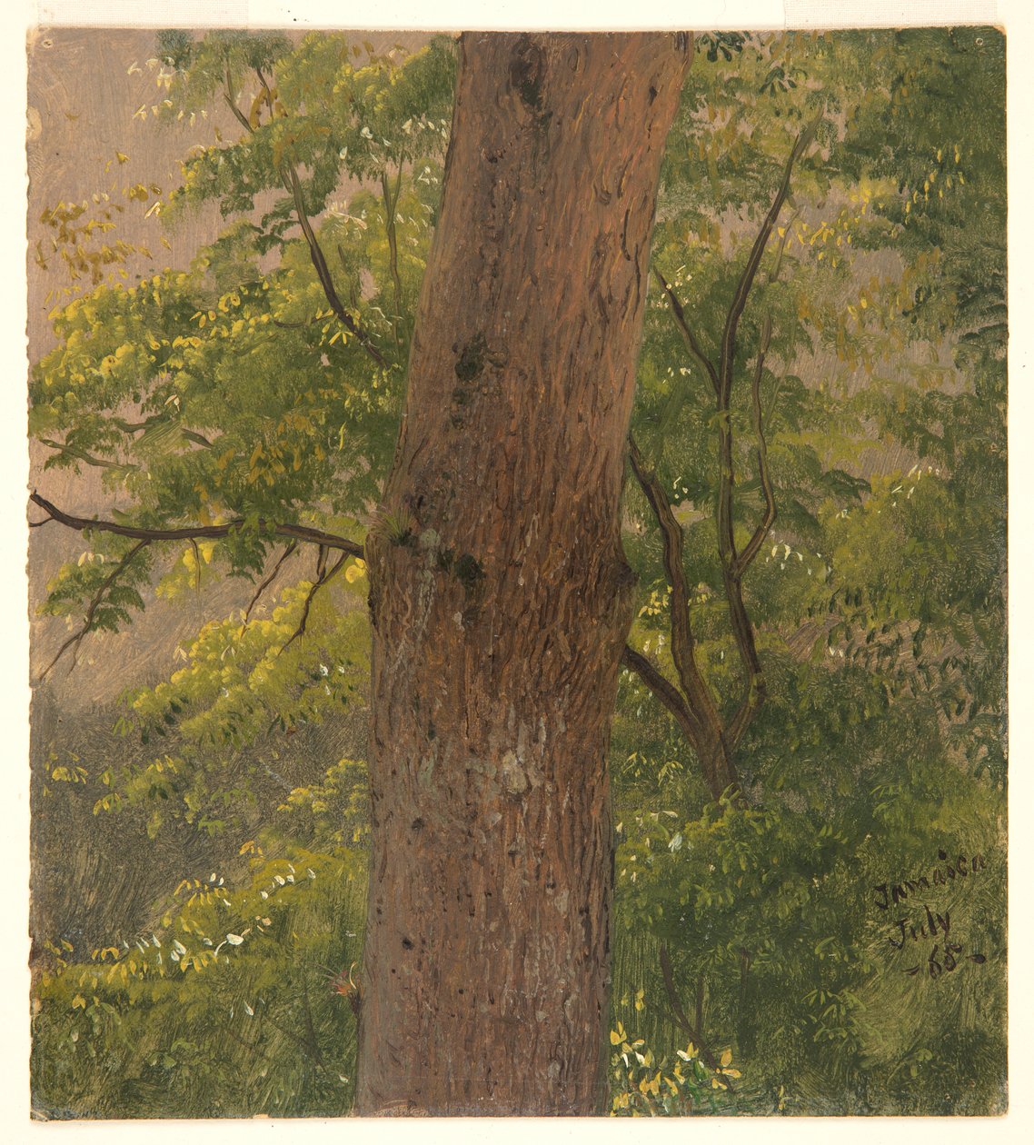 Woodland Study, Jamaica av Frederic Edwin Church
