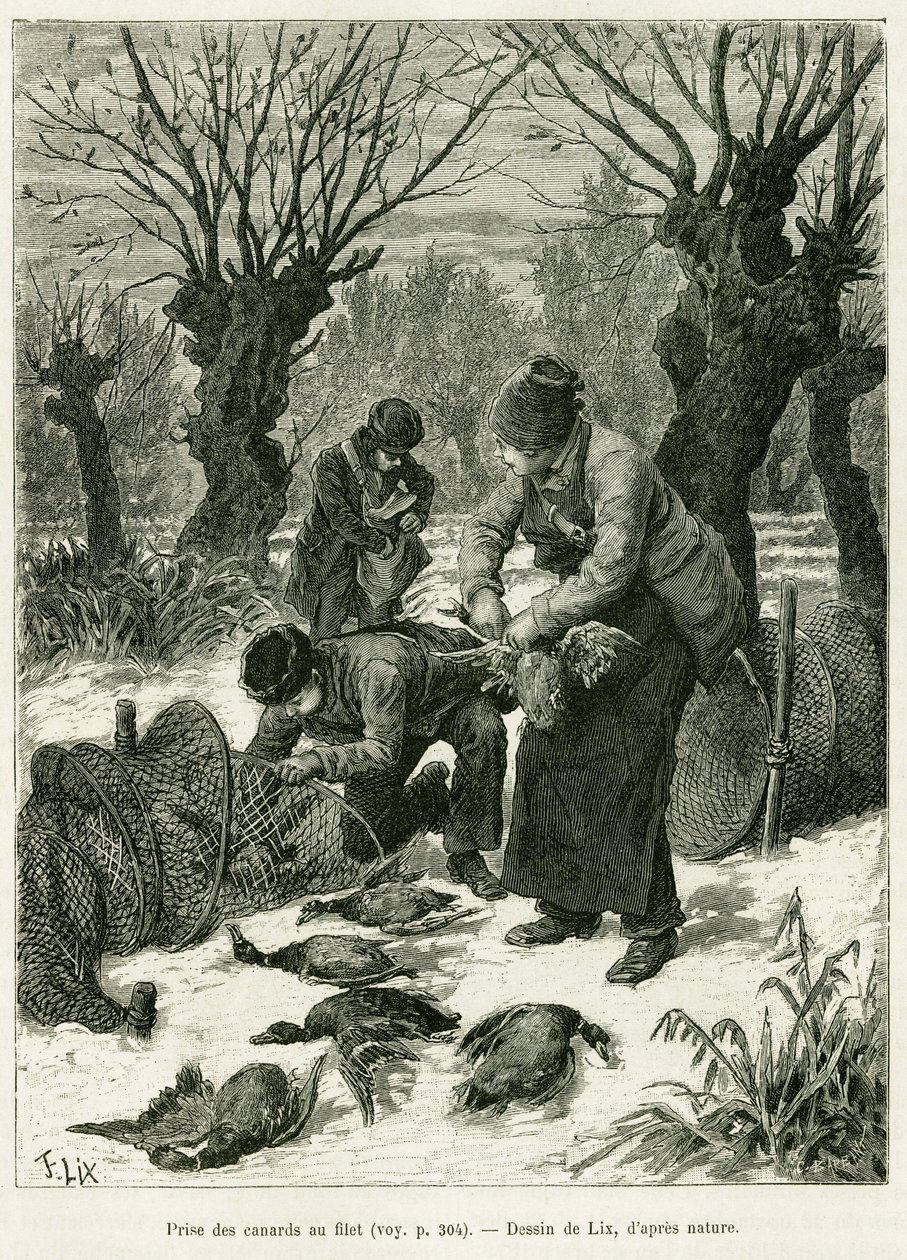 Fang ender i nettet. Gravering av Lix, for å illustrere historien A Through Alsace and Lorraine, i 1887, av Charles Grad, tysk stedfortreder, i tour du monde 1888, regissert av Edouard Charton (1807-1890), Hachette, Paris. av Frederic Theodore Lix