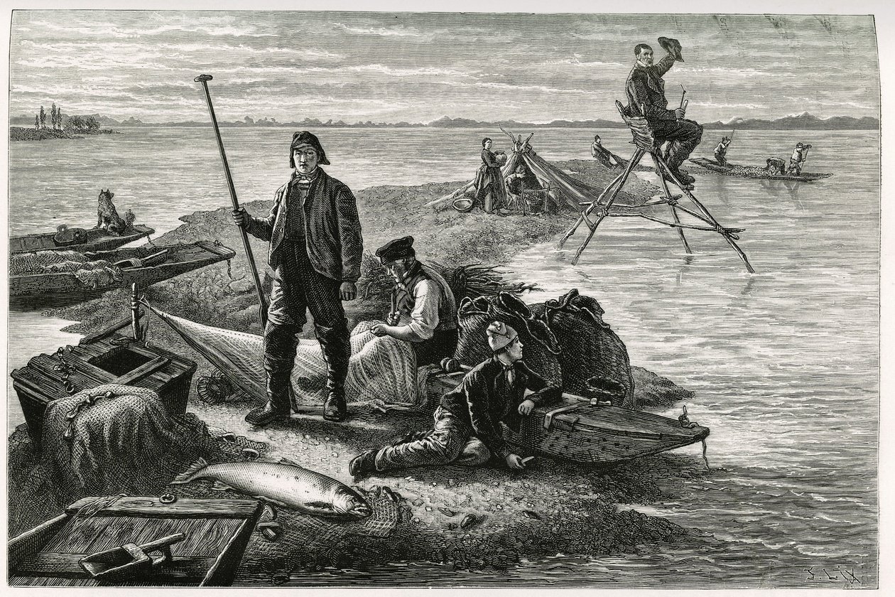 Laksefiske. Gravering av F.Lix, for å illustrere historien "Gjennom Alsace og Lorraine", i 1884, av Charles Grad (1842-1890), tysk stedfortreder, forfatter og naturforsker. Publisert i Le Tour du monde, nouveau journal des voyages, 2. semester 1885, redige av Frederic Theodore Lix