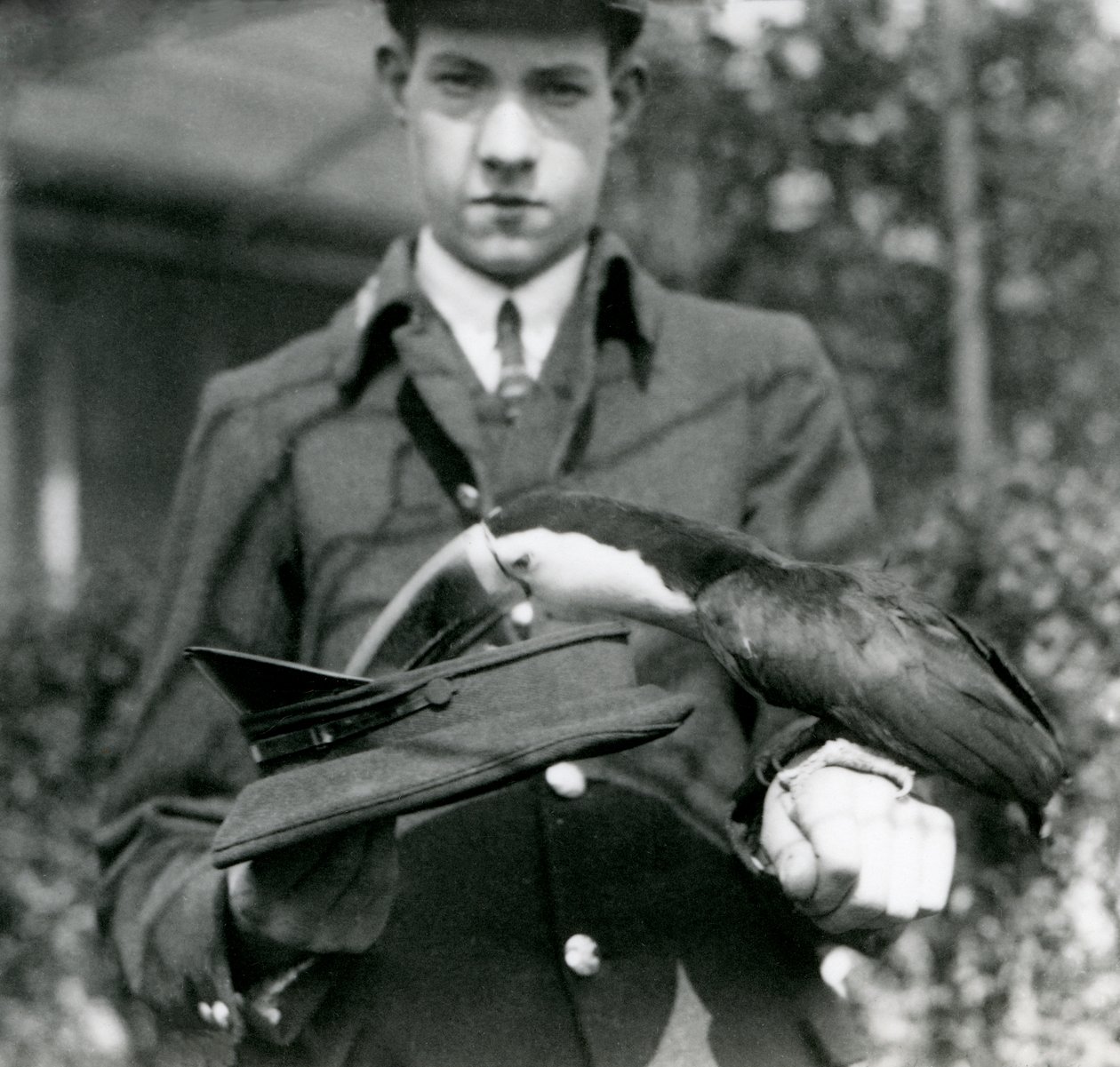En rødnebbet tukan trekker en billett fra en hatt, holdt av keeper C. Hersey, London Zoo, 1923 (bw-bilde) av Frederick William Bond