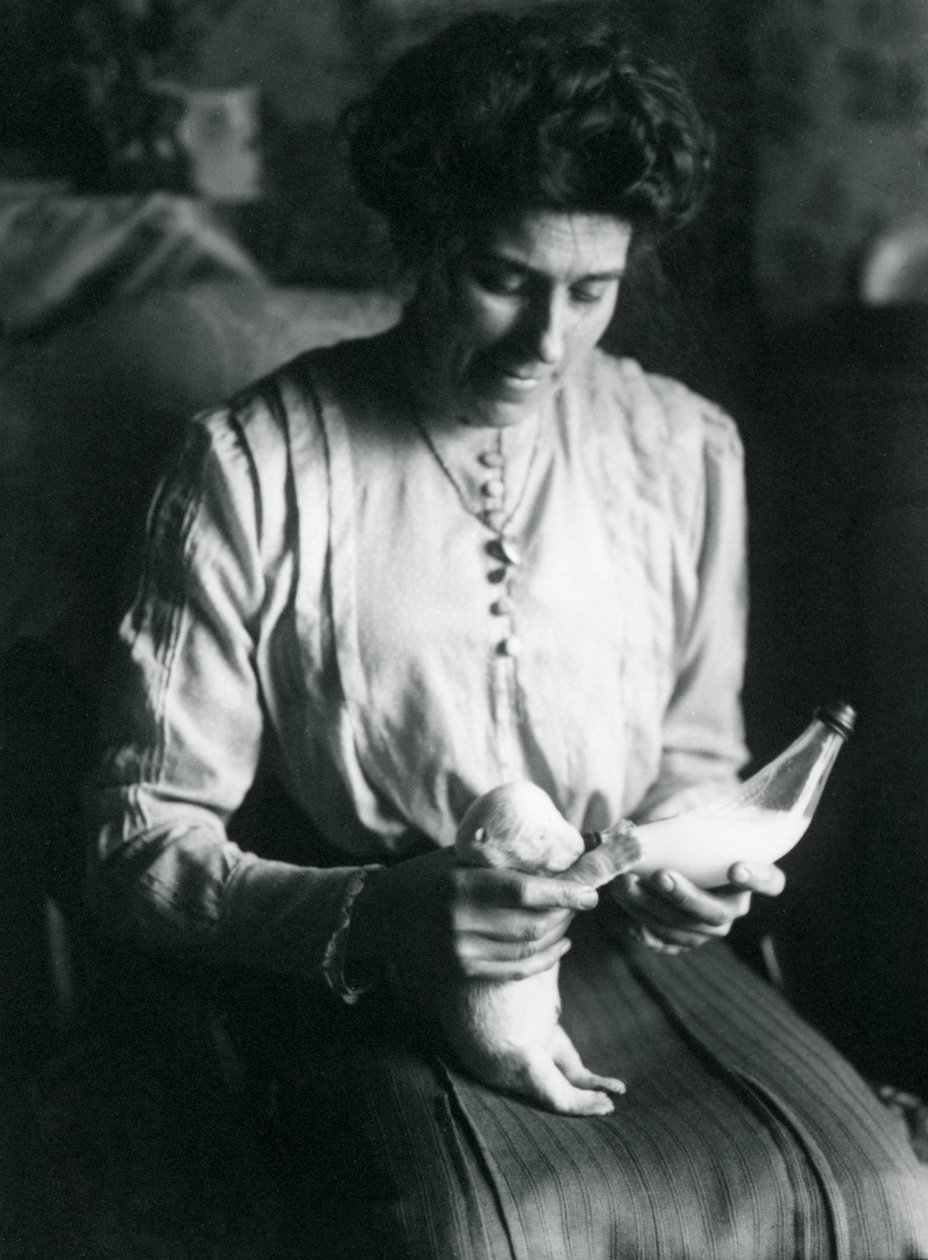 En keepers kone mater en nyfødt isbjørnunge med flaske, London Zoo, ca. 1914 av Frederick William Bond