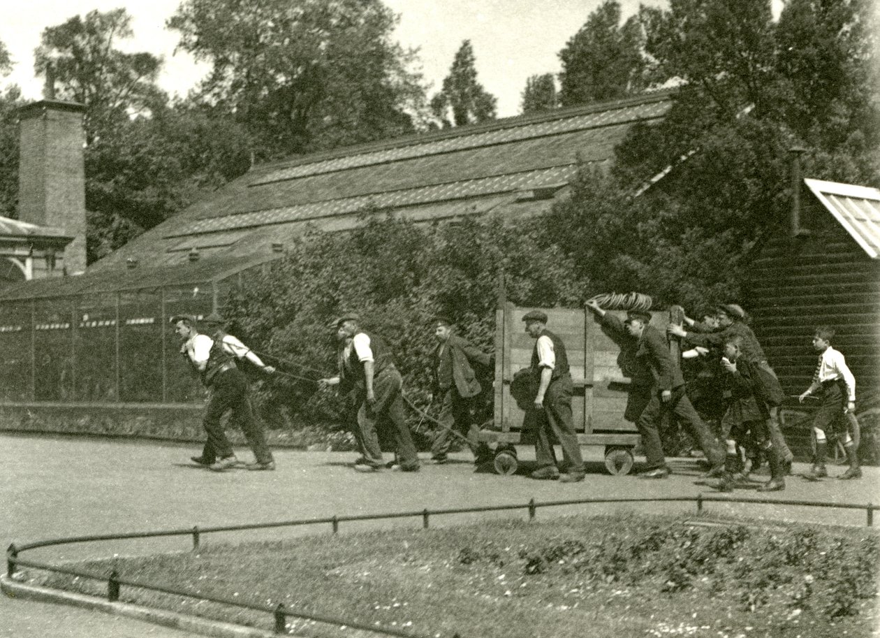 Et team av menn som flytter leoparden i en trekasse, etterfulgt av to gutter, London Zoo, 1922 (bw-bilde) av Frederick William Bond