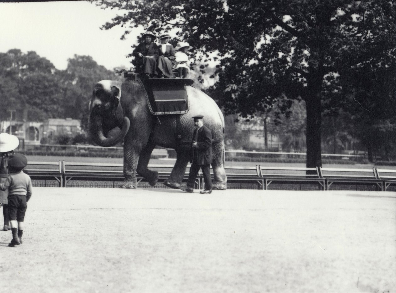 En asiatisk elefant som blir ridd av to damer og en ung jente, med en keeper ved siden av London Zoo, mai 1914 av Frederick William Bond