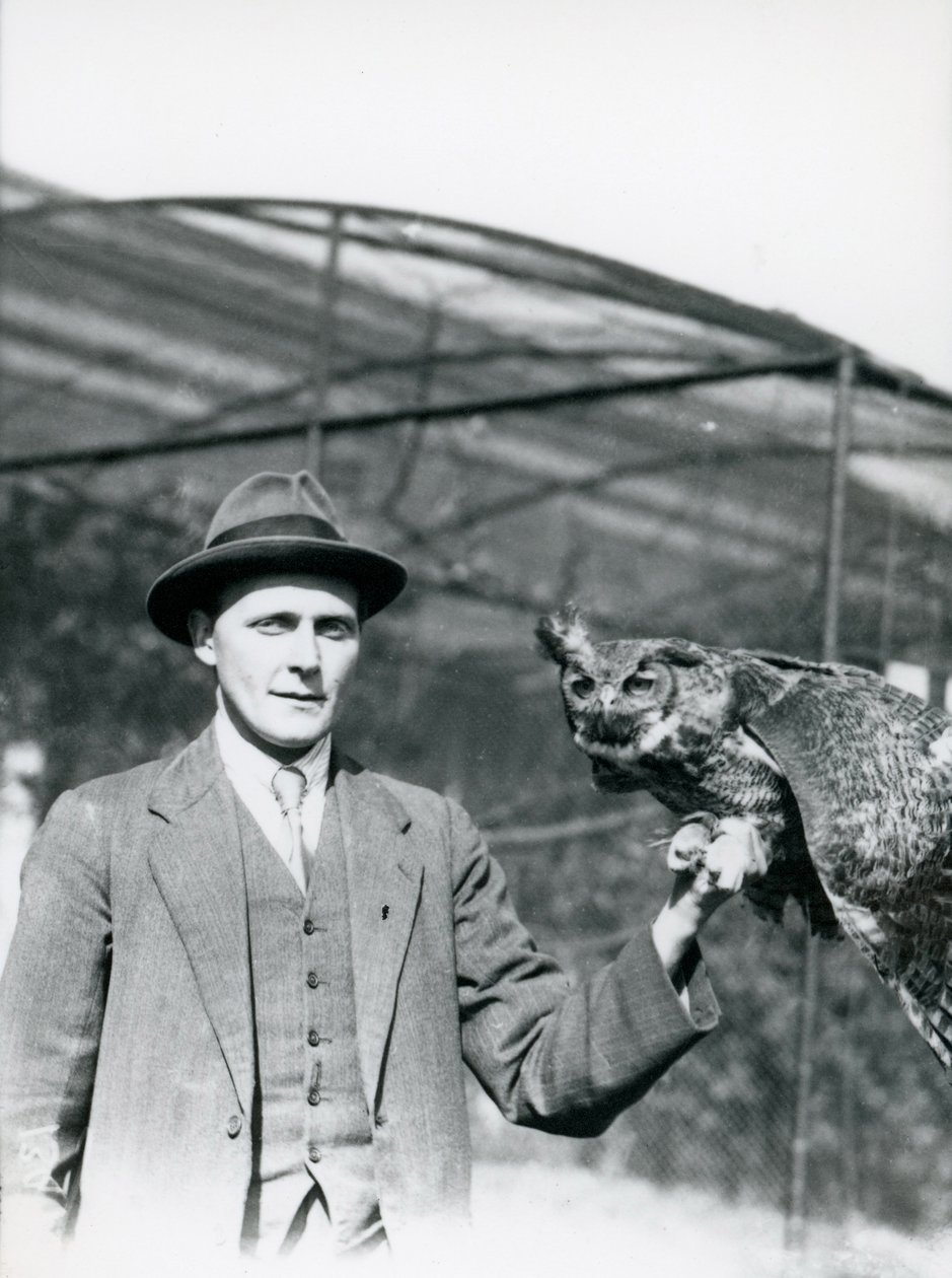 En Ørneugle holdt av J. Bailey, fugleovervåker i London Zoo i tretti år. juni 1920 av Frederick William Bond