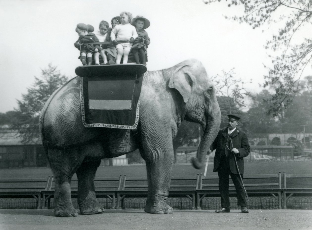 En indisk elefant, med keeper, tar små barn med på en tur i London Zoo, ca. 1913 av Frederick William Bond