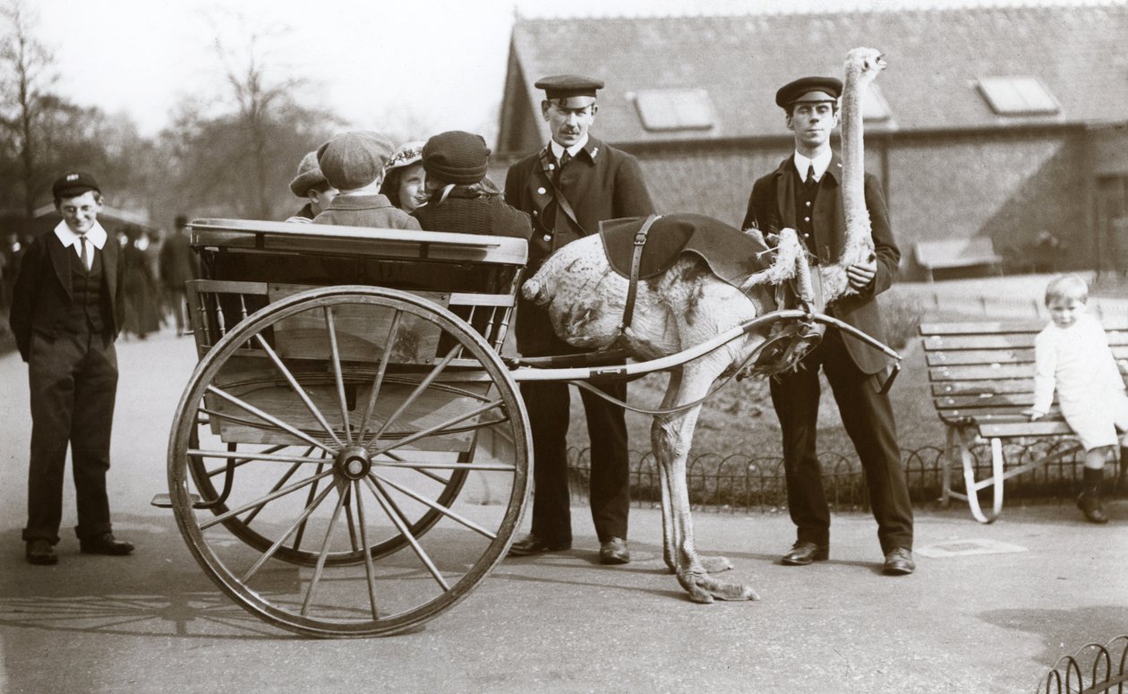 En tur med strutsevogn med barn og voktere George Blore og William Dexter i London Zoo, ca. 1913 av Frederick William Bond
