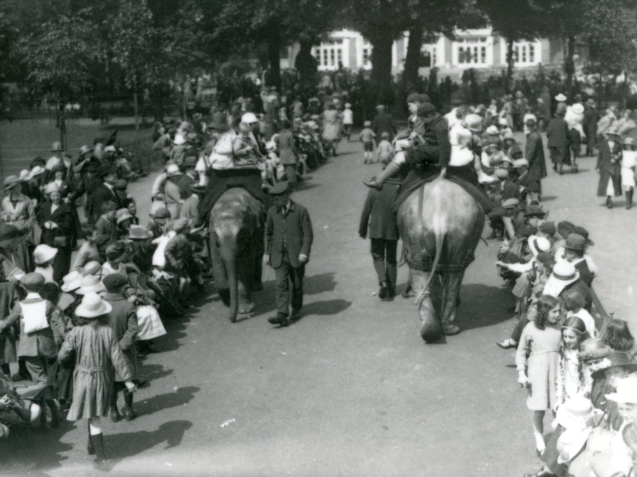 Asiatiske elefantturer med mengder av tilskuere i London Zoo, 1922 (bw-bilde) av Frederick William Bond