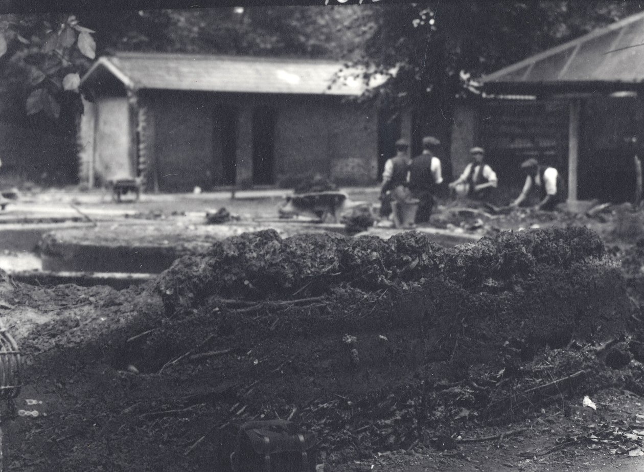 Beverlodge med voktere i bakgrunnen, London Zoo, juli 1916 av Frederick William Bond