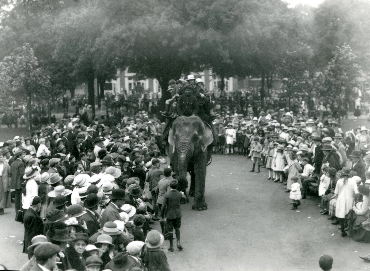 Mengder av besøkende ser på en elefanttur i London Zoo, helligdag i august, 1922 av Frederick William Bond