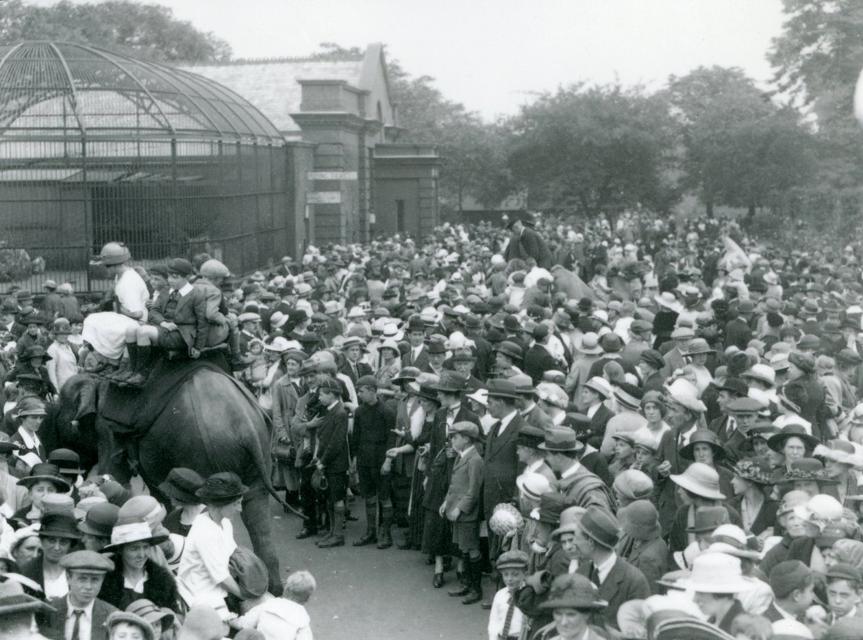 Mengder av besøkende ser på en elefanttur i London Zoo, helligdag i august, 1922 av Frederick William Bond