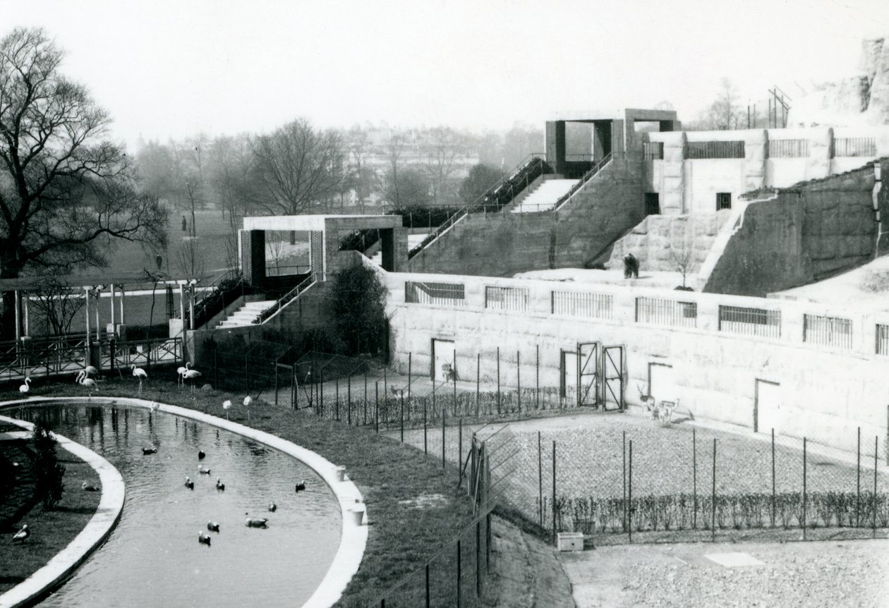 Innhegninger foran Mappin Terraces, London Zoo, 1922 av Frederick William Bond