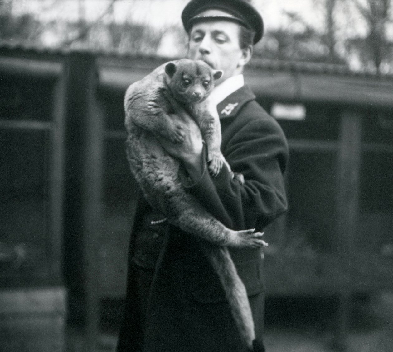 Keeper, Leslie Martin Flewin, holder en Kinkajou i London Zoo, februar 1913 av Frederick William Bond