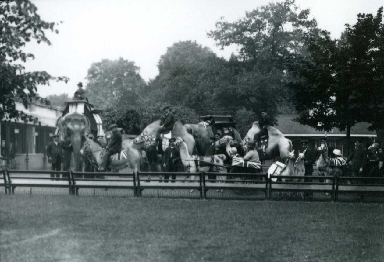 Ridedyr pyntet til feiringen av fredsdagen, 19. juli 1919 av Frederick William Bond