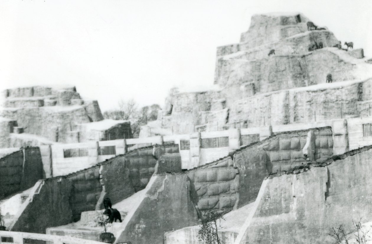 The Mappin Terraces, London Zoo, 1922 av Frederick William Bond