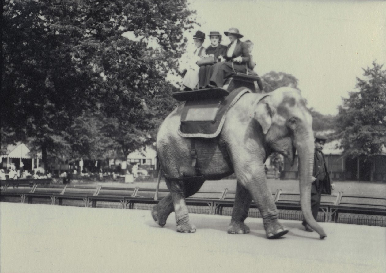 Tre damer blir kjørt på en asiatisk elefant, ledet av en keeper, i London Zoo, mai 1914 av Frederick William Bond