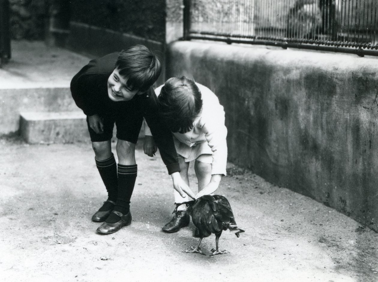 To unge besøkende møter en tam Striated Caracara i London Zoo, juni 1914 av Frederick William Bond