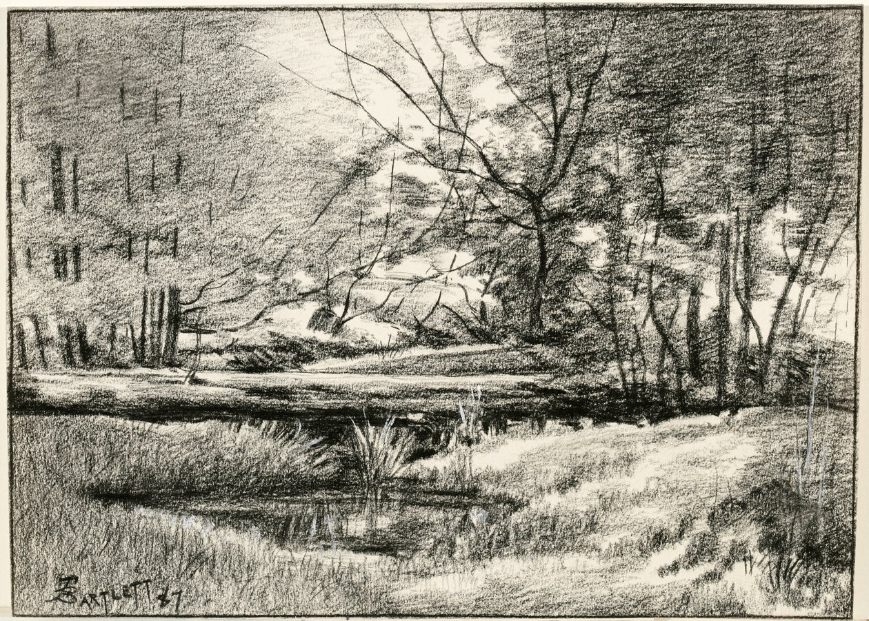 Basseng i Adirondacks av Frederick Eugene Bartlett