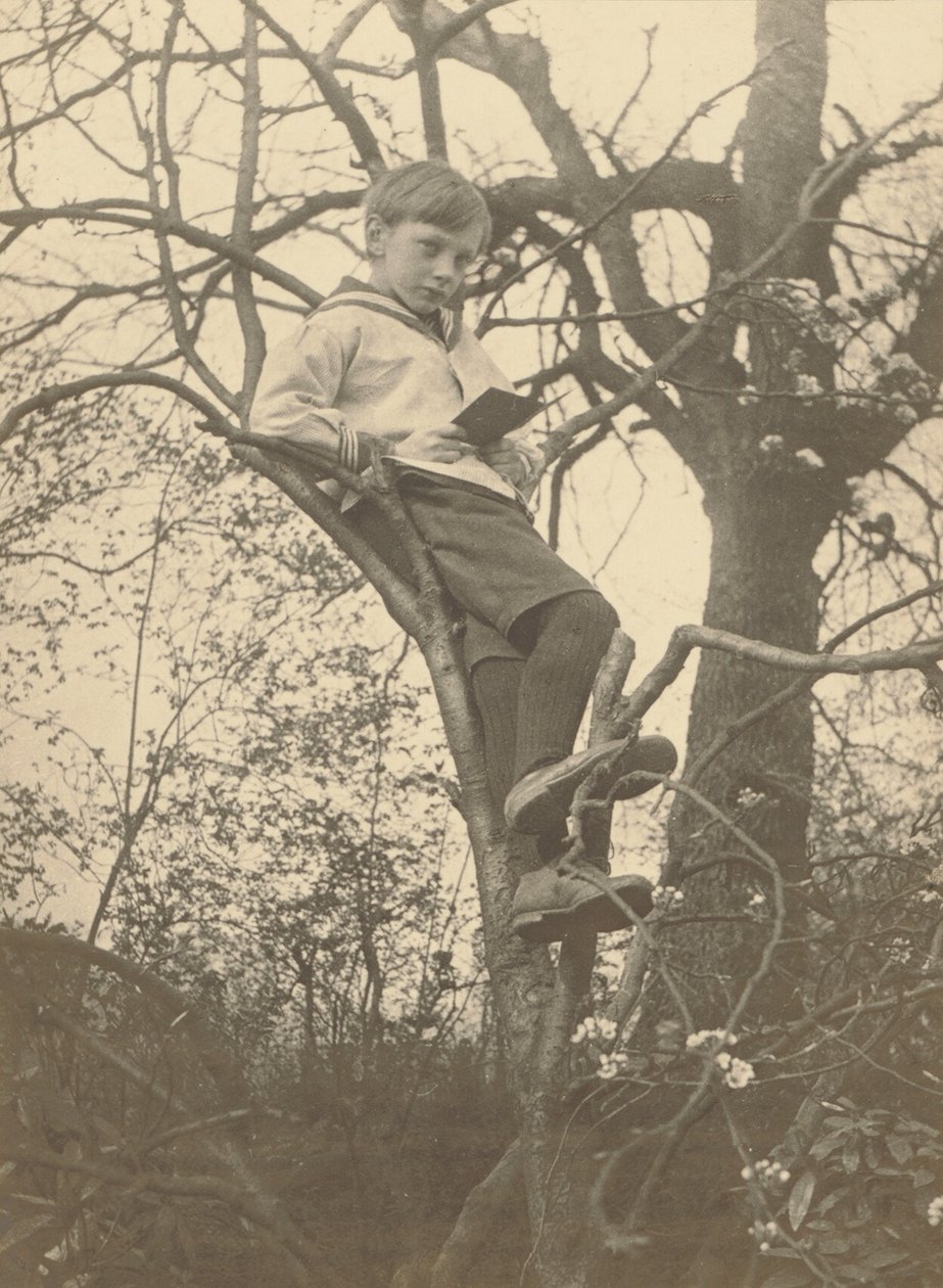  av Frederick H. Evans
