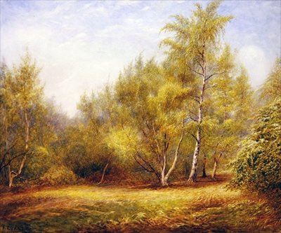 Epping Forest nær Buckhurst Hill (akvarell på papir) av Frederick Henry Evans