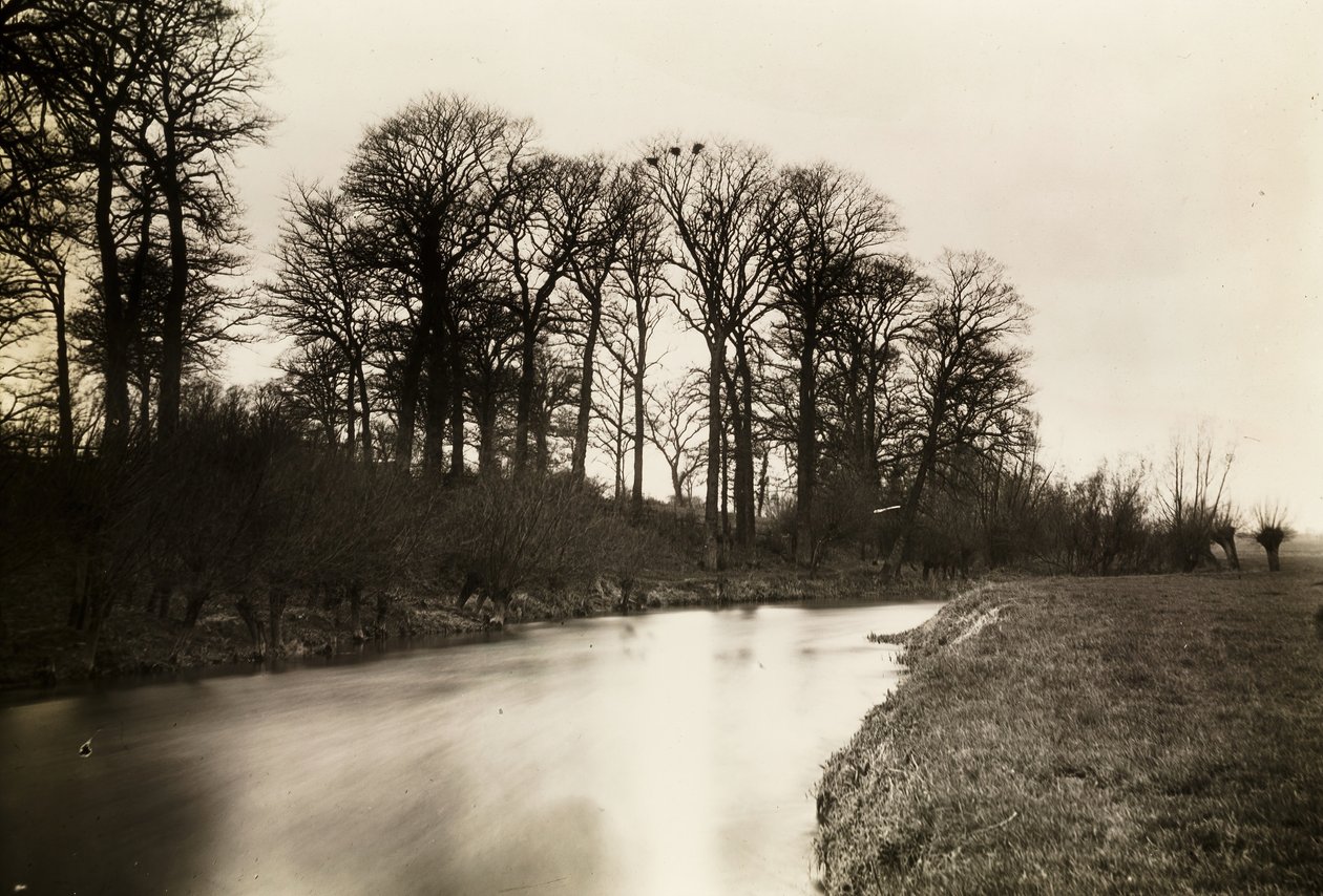 Kelmscott Manot: Themsen nær herregården, 1896. av Frederick Henry Evans