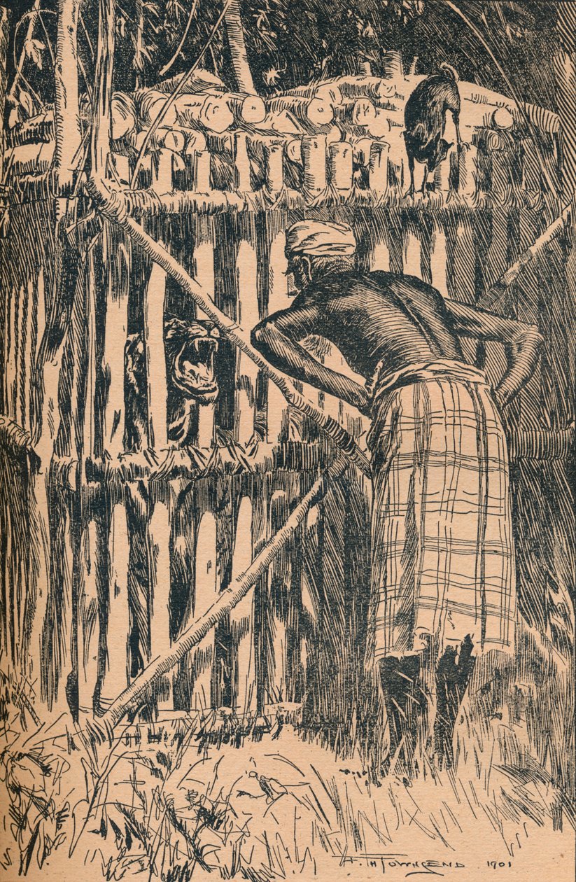 Illustrasjon til Skeats-fabler og folkeeventyr fra en østlig skog, 1901 av Frederick Henry Townsend