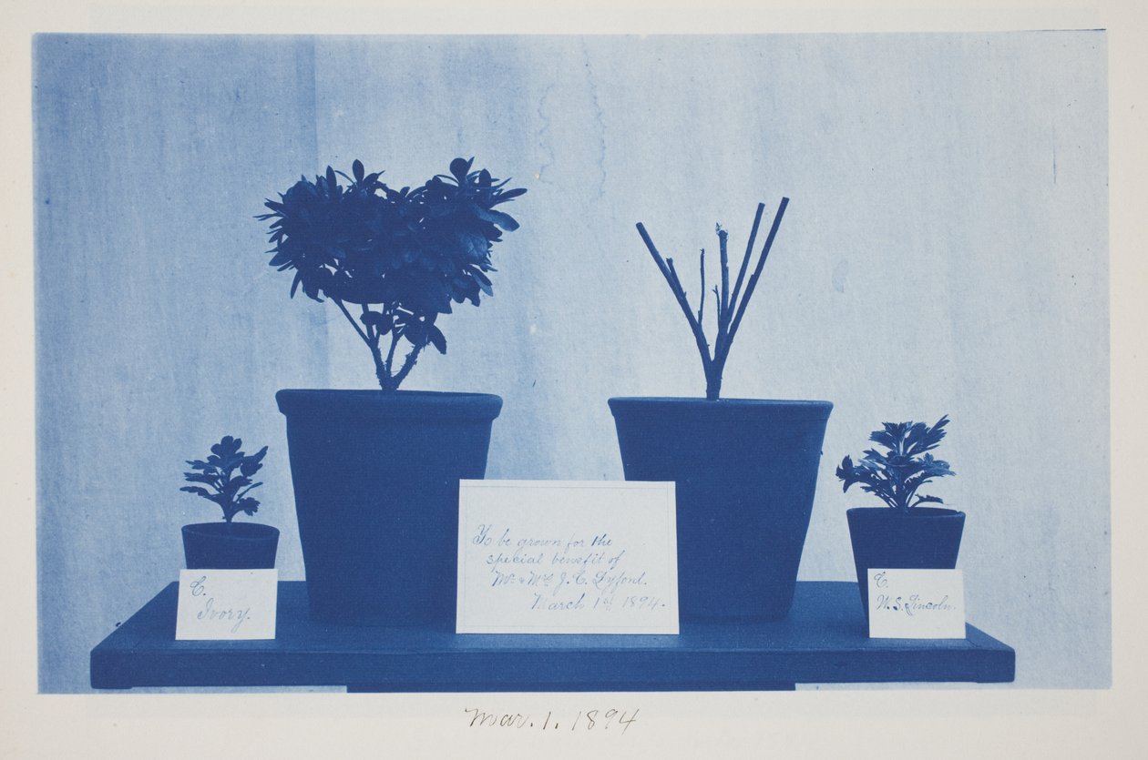 Uten tittel, 1. mars av Frederick K. Coulson