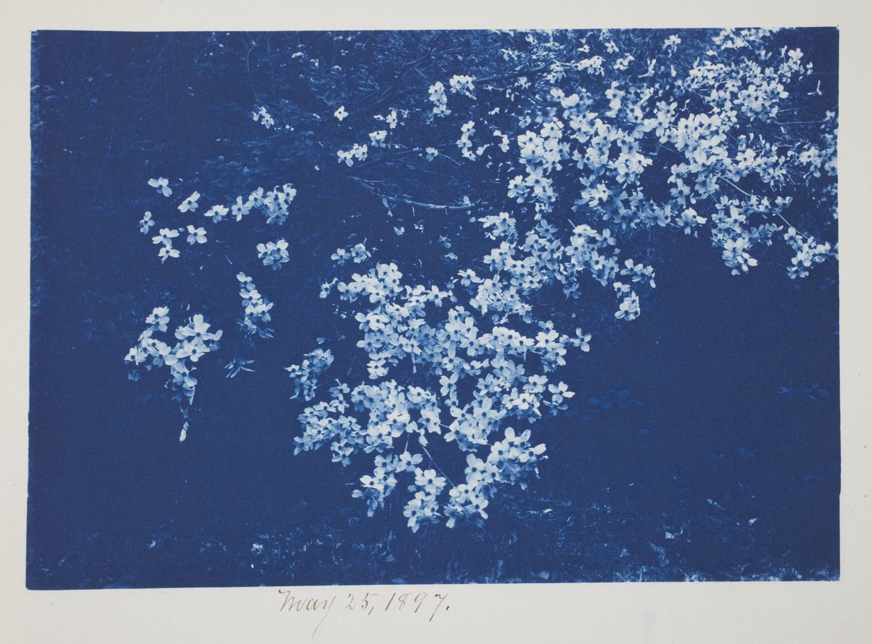 Uten tittel, 25. mai av Frederick K. Coulson