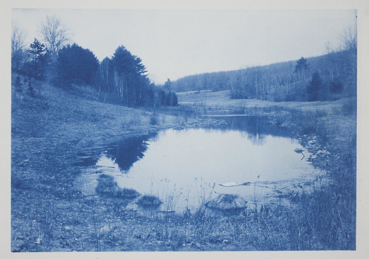 Uten tittel, sent på 1800-tallet – begynnelsen av 1900-tallet (cyanotype på kremvevet papir) av Frederick K. Coulson